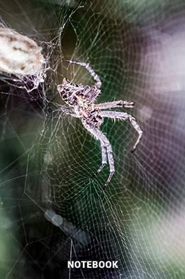 6x9 lined notebook, composition notebook, notepad, spiders, arachnids