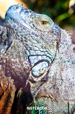 Close-up photograph of a colourful lizard showing its detailed scales, featured on the cover of a 6x9 inch lined notebook.