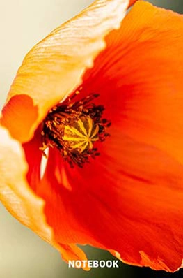 6x9 lined notebook, composition notebook, notepad wild flowers poppy seeds