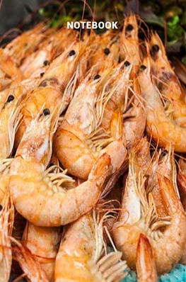6x9 lined notebook, composition notebook, notepad, sea food, chef shrimp