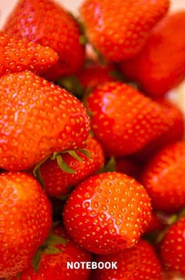 6x9 lined notebook, composition notebook, notepad fruit strawberries cakes tarts