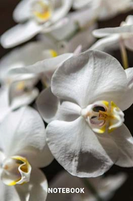 6x9 lined notebook, composition notebook, notepad, flowers, gardening orchids